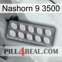 Rhino 9 3500 08